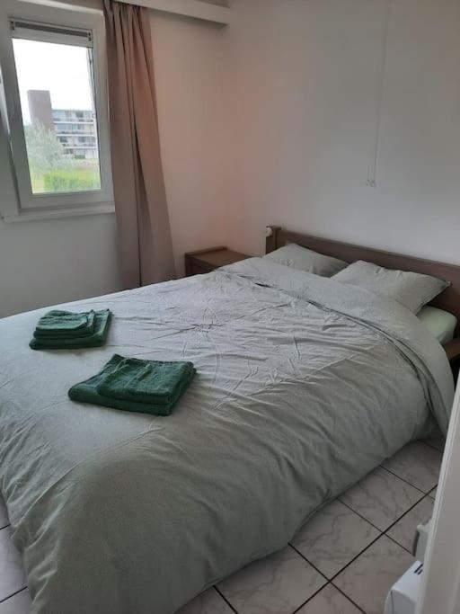 Spacieux Duplex Pres De La Mer 4 Chambres 2 Sdb De Haan Ngoại thất bức ảnh